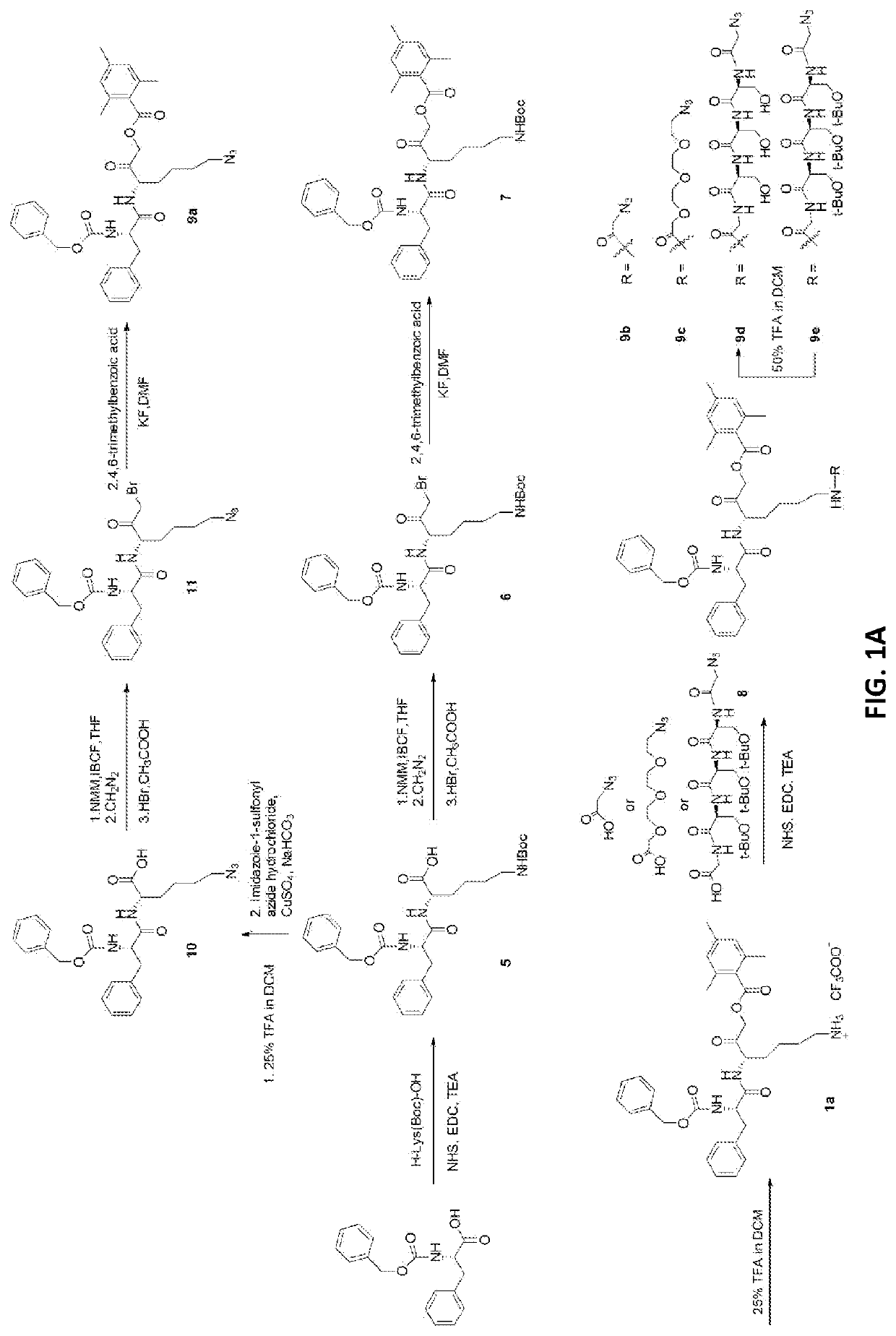 Radiopharmaceuticals and methods of use thereof