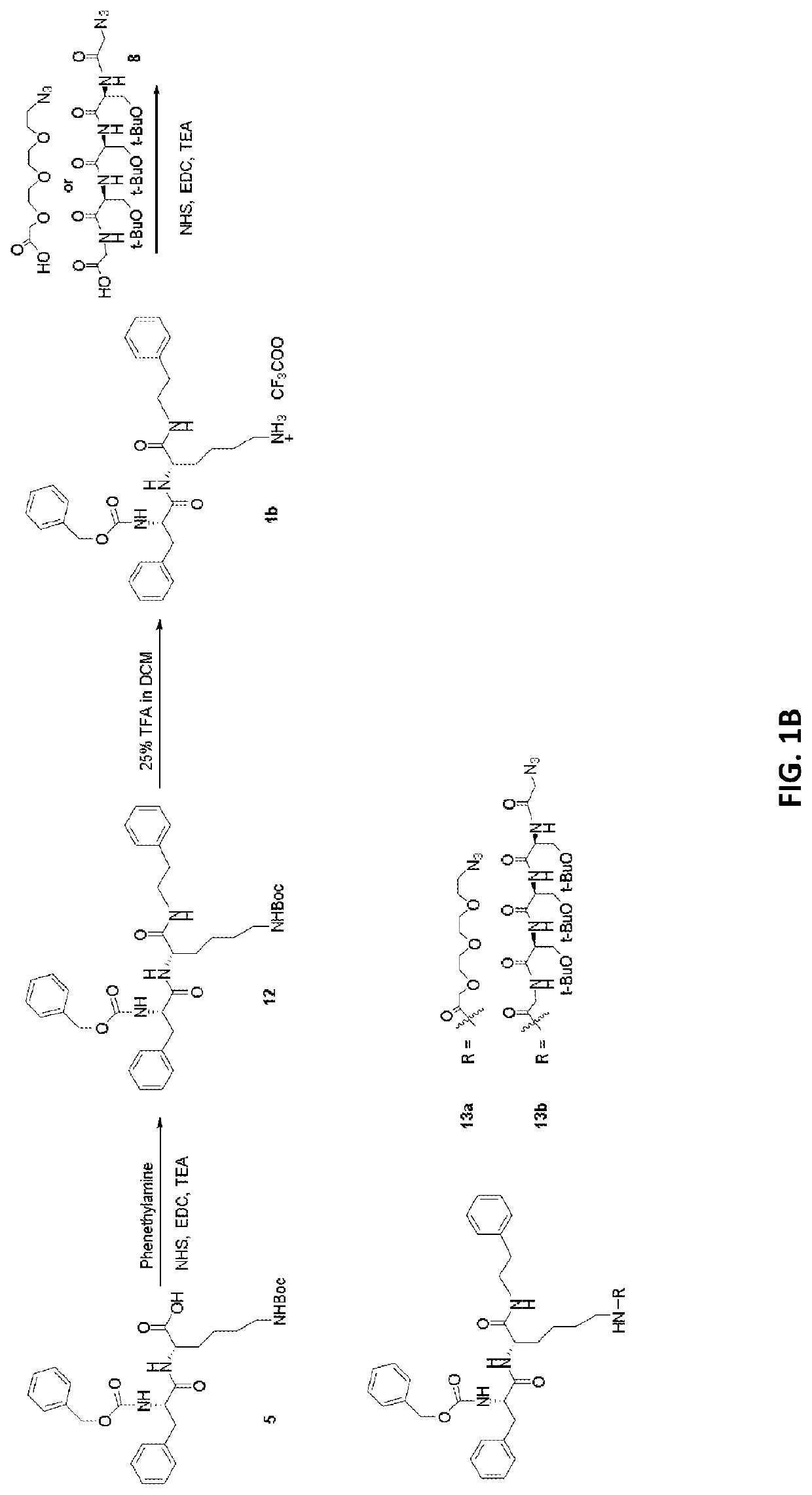 Radiopharmaceuticals and methods of use thereof