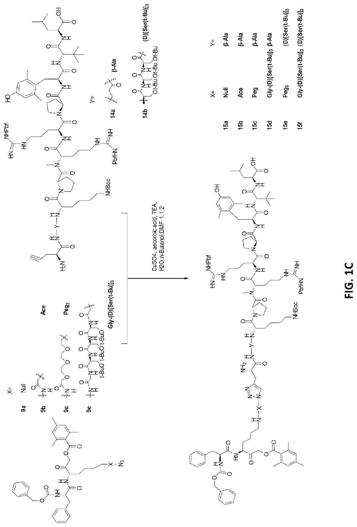 Radiopharmaceuticals and methods of use thereof