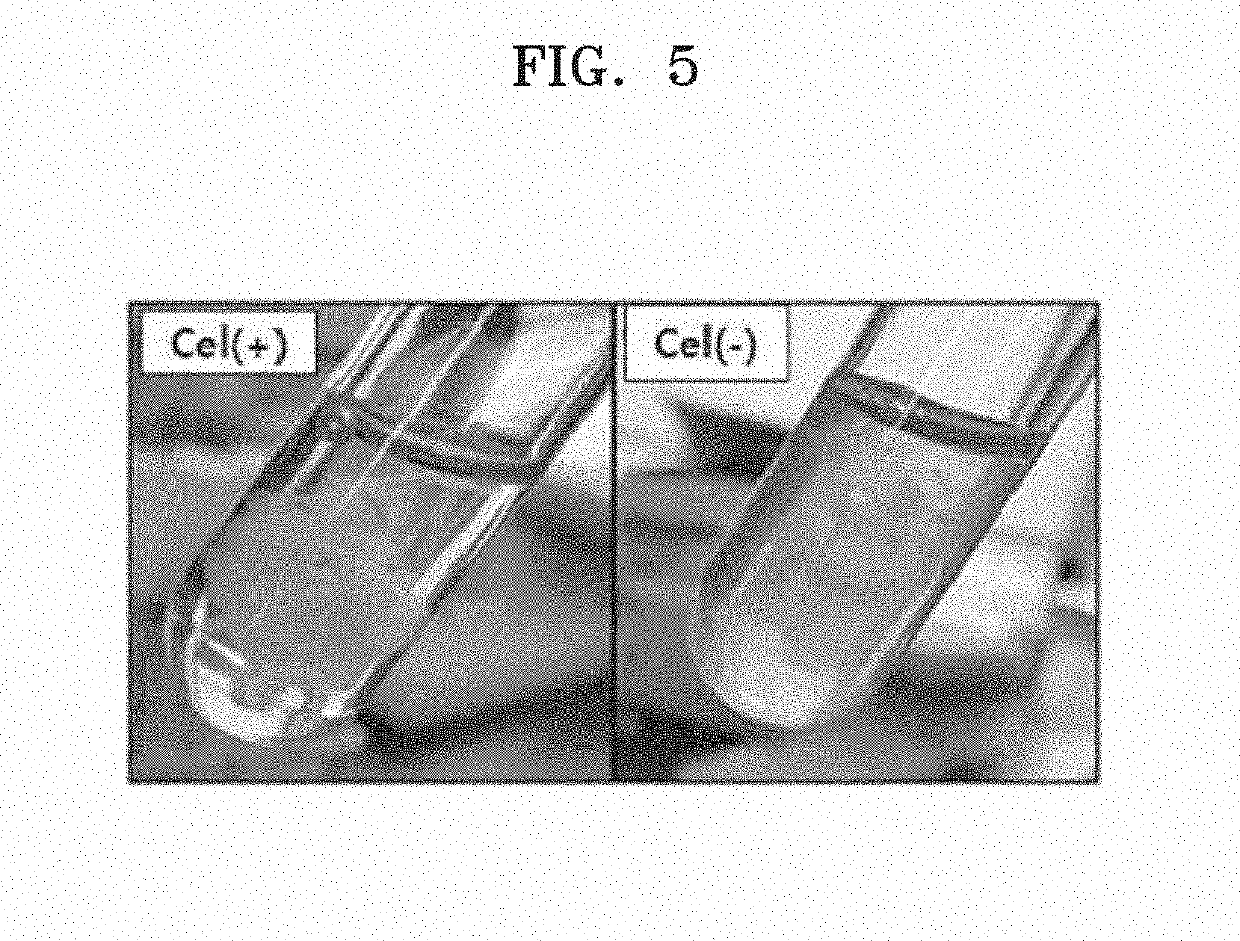 Microorganism having enhanced cellulose synthase gene stability and method of producing cellulose by using the same