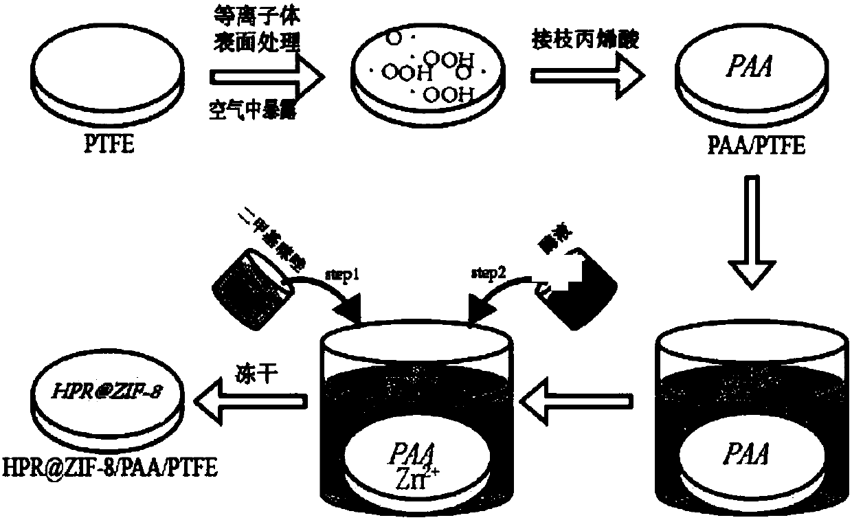Method for in-situ preparation of nano-enzyme membrane