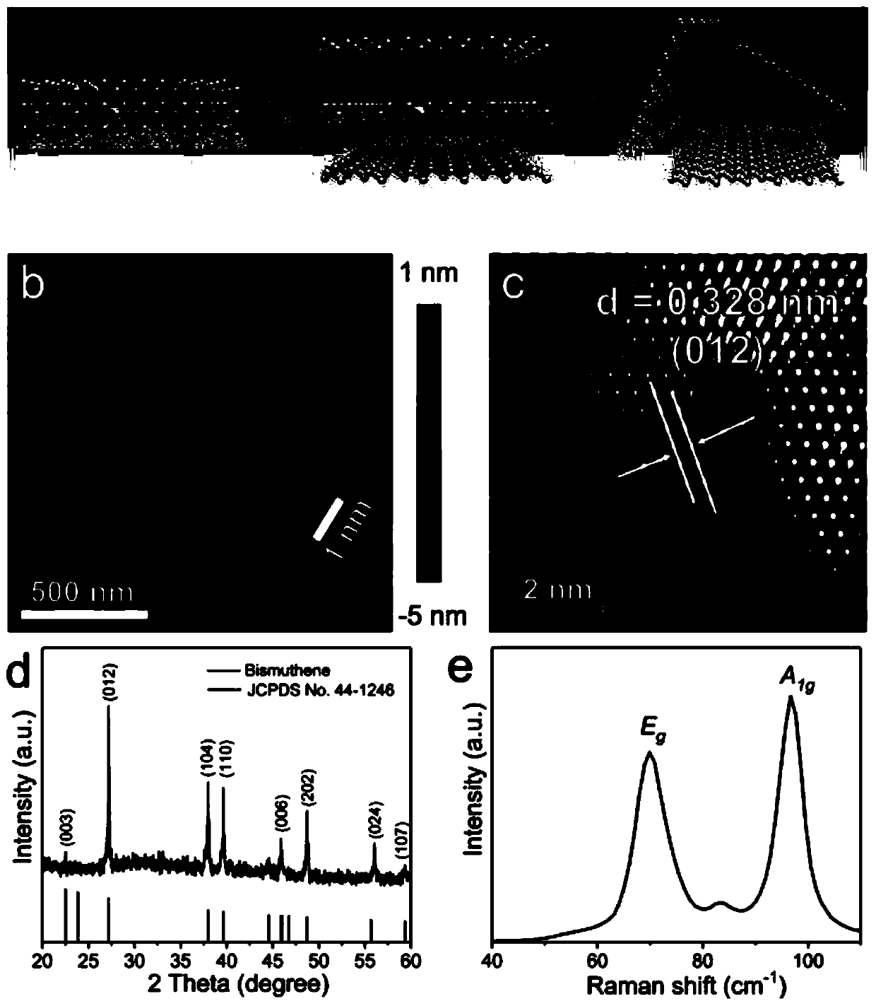 Biosensor based on bismuth-olefin nanosheet fluorescence quenching, miRNA detection kit and application of miRNA detection kit