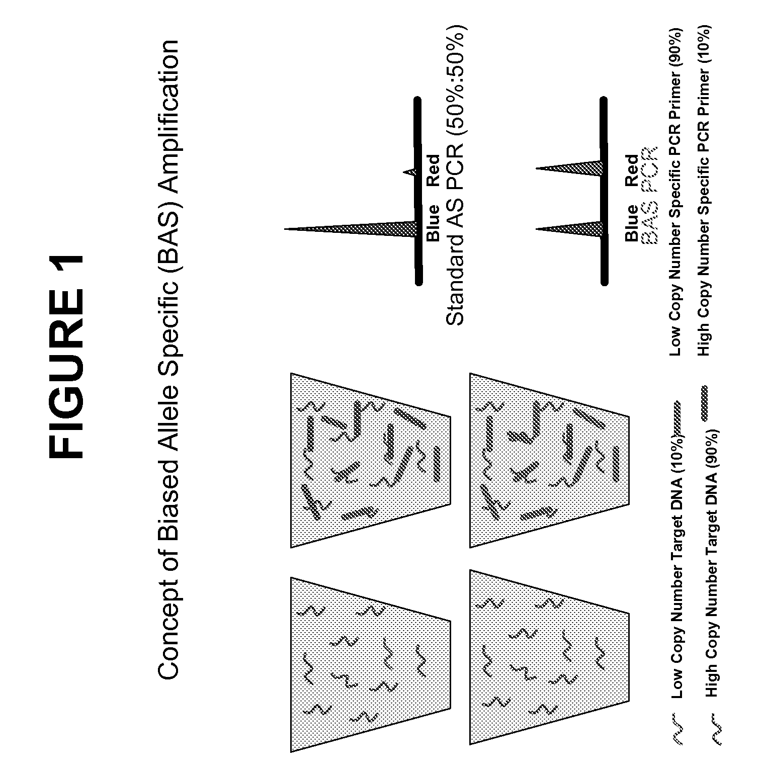 Methods and compositions for the amplification, detection and quantification of nucleic acid from a sample