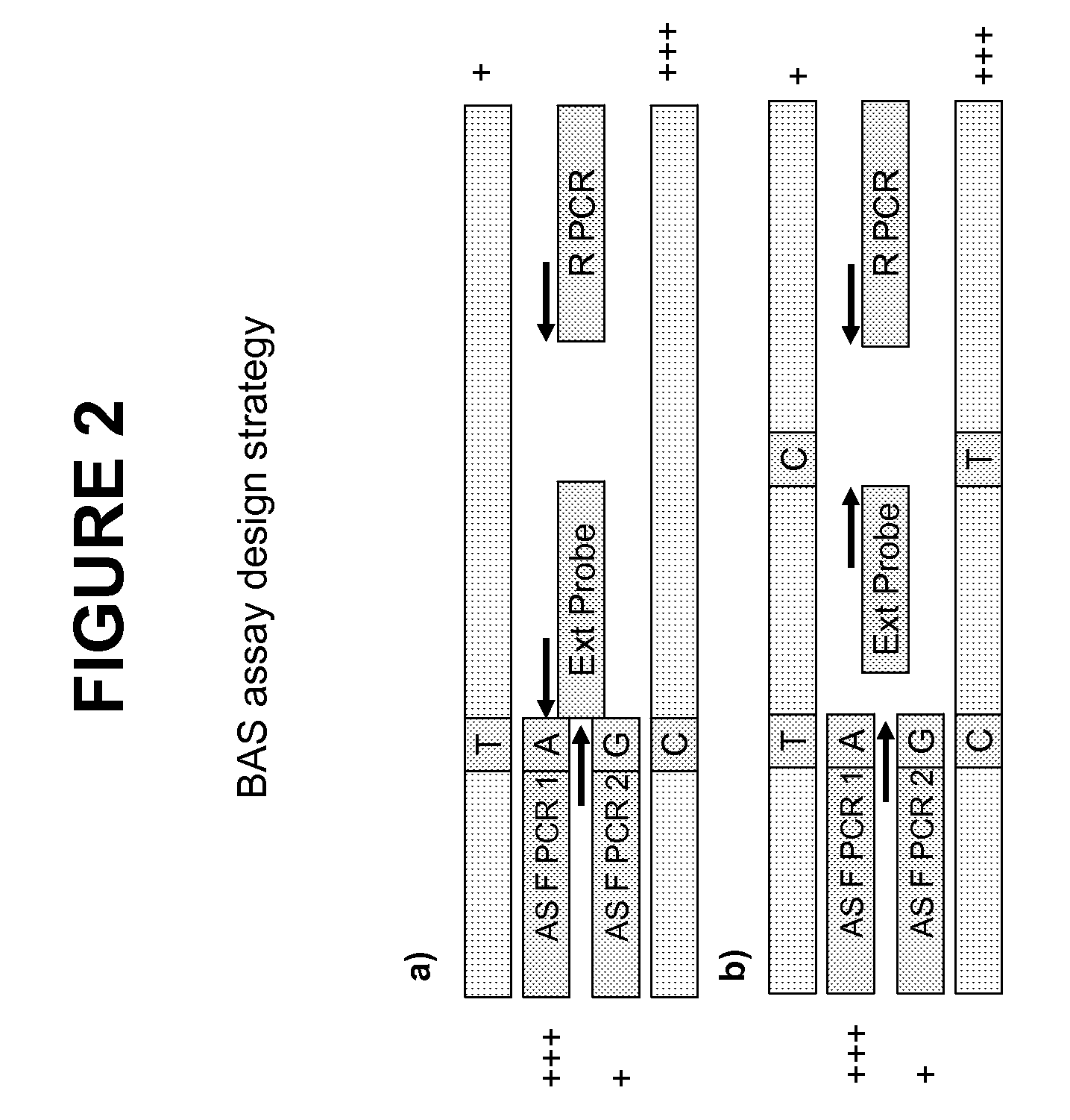 Methods and compositions for the amplification, detection and quantification of nucleic acid from a sample
