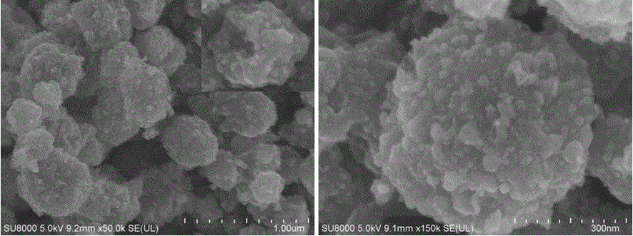 Cos@carbon nano-cage as well as preparation method and application thereof