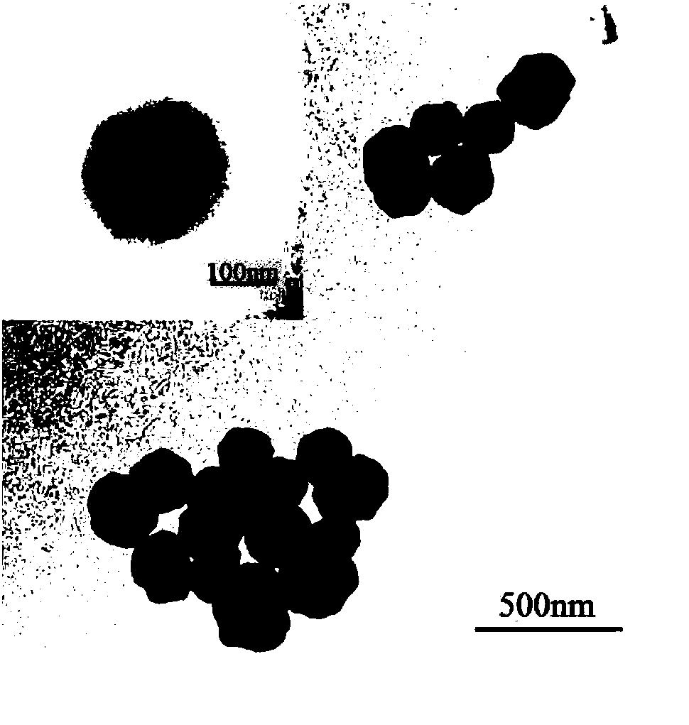 Solid-phase synthesizing method of polypeptide, synthesized magnetic nanometer probe and application thereof