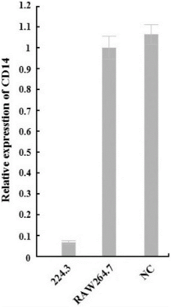 Method for distinguishing smooth type lipopolysaccharide and rough type lipopolysaccharide