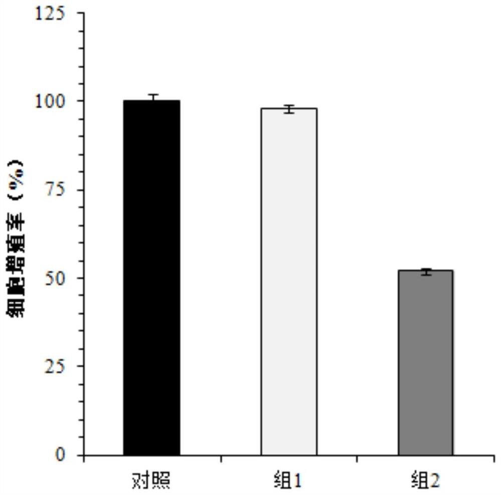 Isolation and in vitro expansion method of human vein endothelial cells