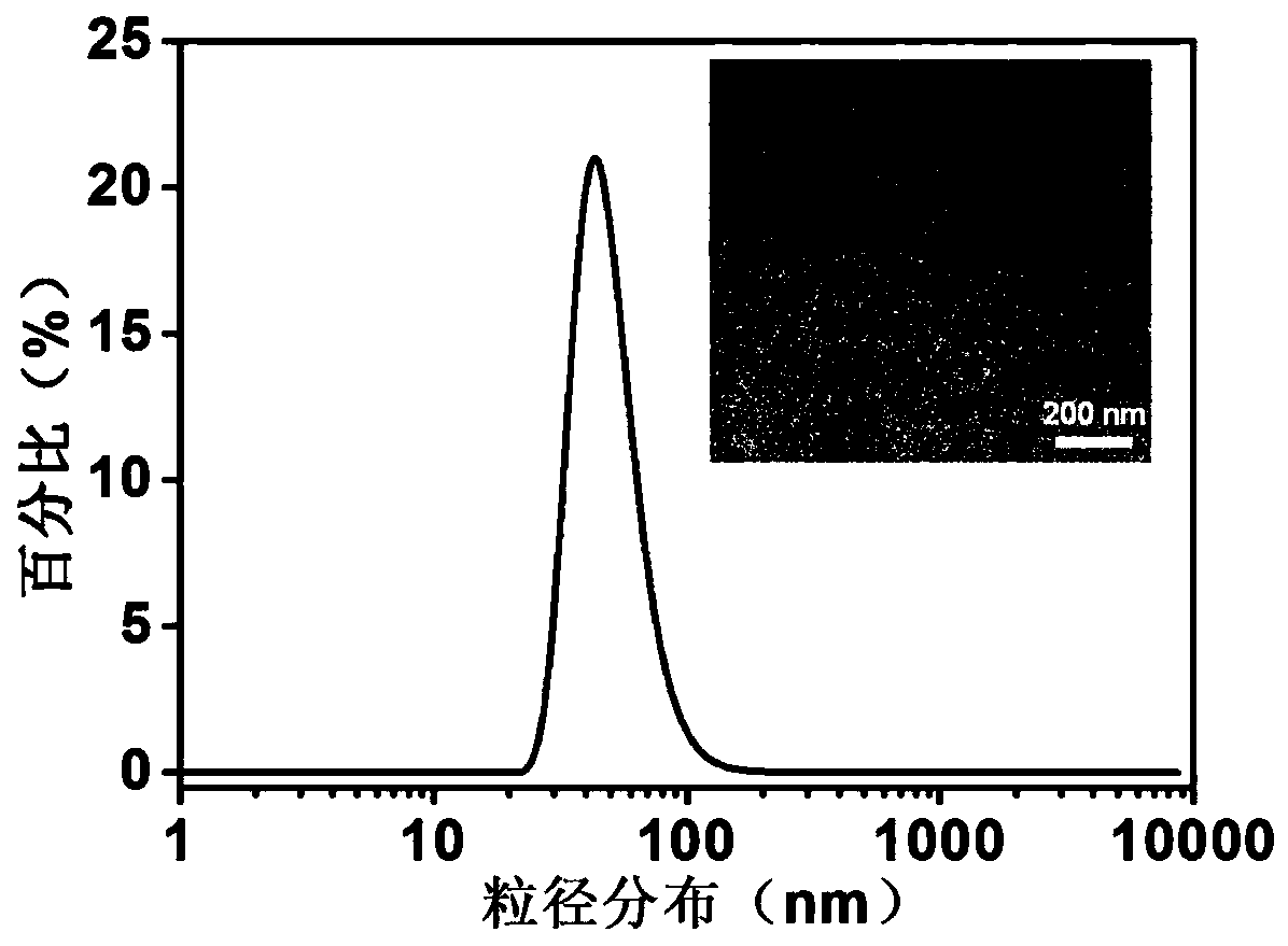 A nanoparticle with excellent blood stability and preparation method thereof