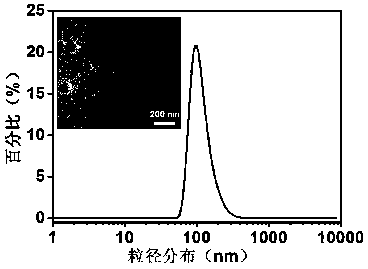 A nanoparticle with excellent blood stability and preparation method thereof