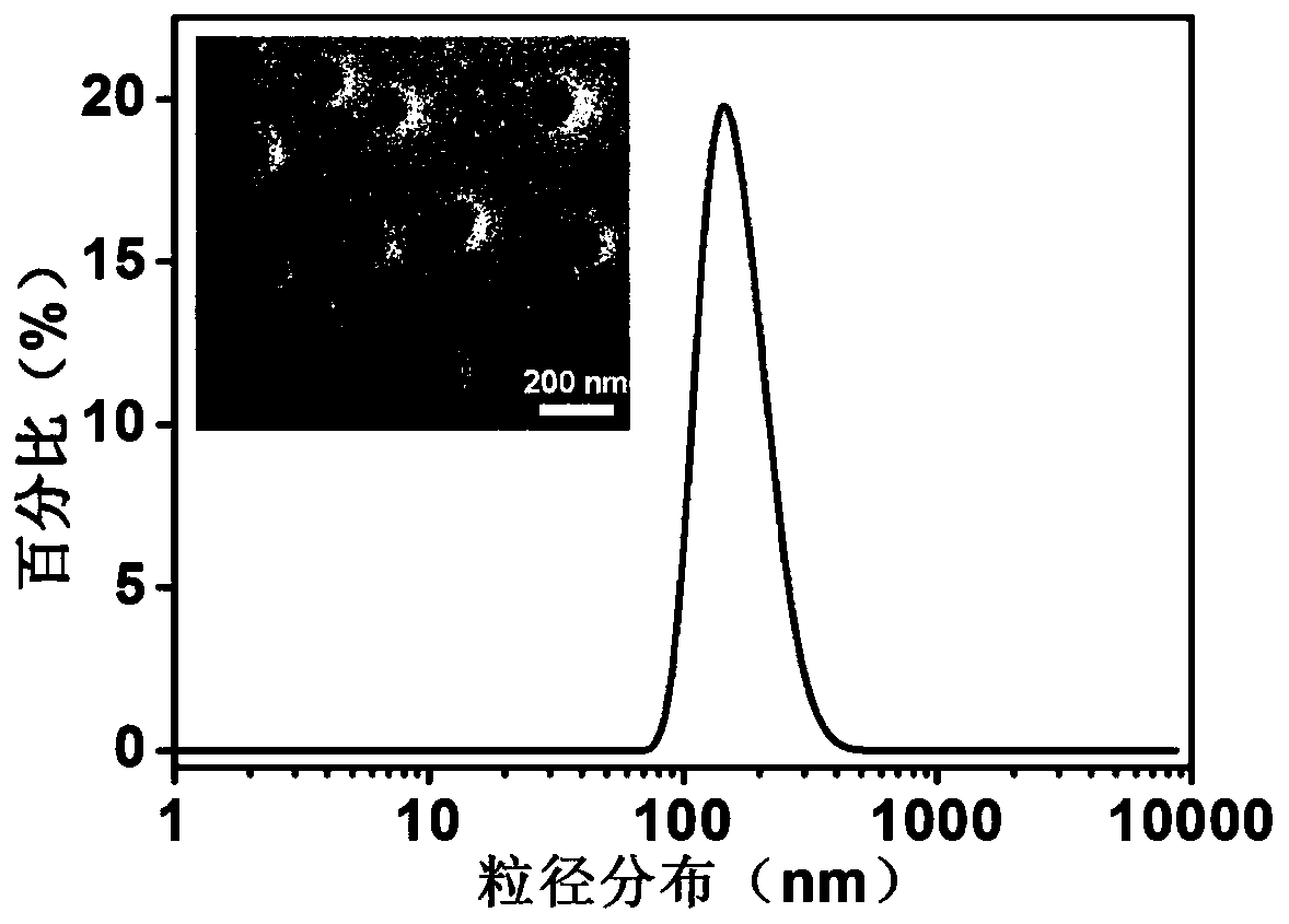 A nanoparticle with excellent blood stability and preparation method thereof