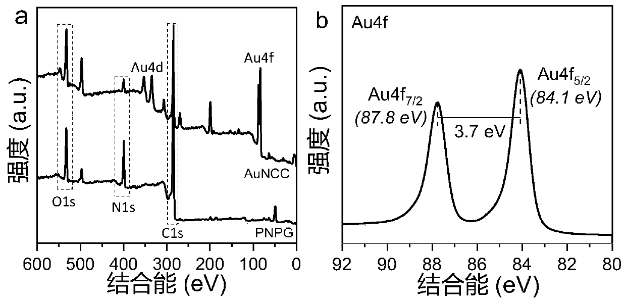 Composite gold nanoclusters phototherapy agent capable of being simultaneously used for near infrared biological windows I and II and preparation method thereof