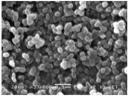 A kind of polyethylene glycol monomethyl ether modified mesoporous silica nanoparticles and its preparation method and application