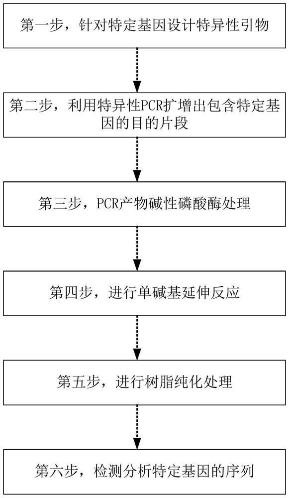 Method and kit for detecting gout typing related genes