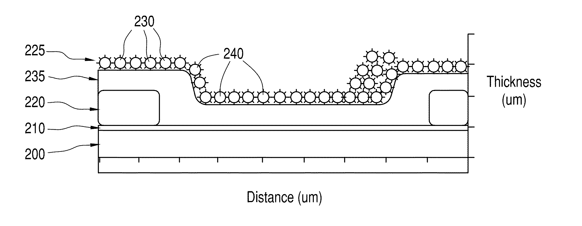 Biosensor with improved interference characteristics