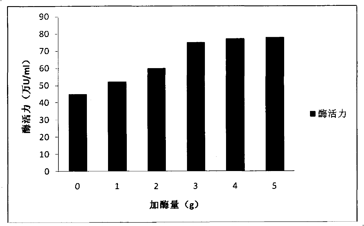 Preparation method of amylase