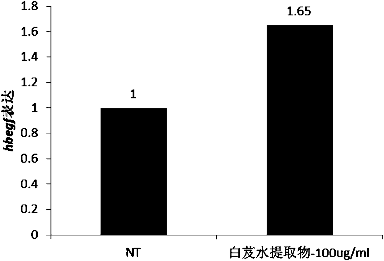 Application of bletilla striata(Thunb.)Rchb.f. extract