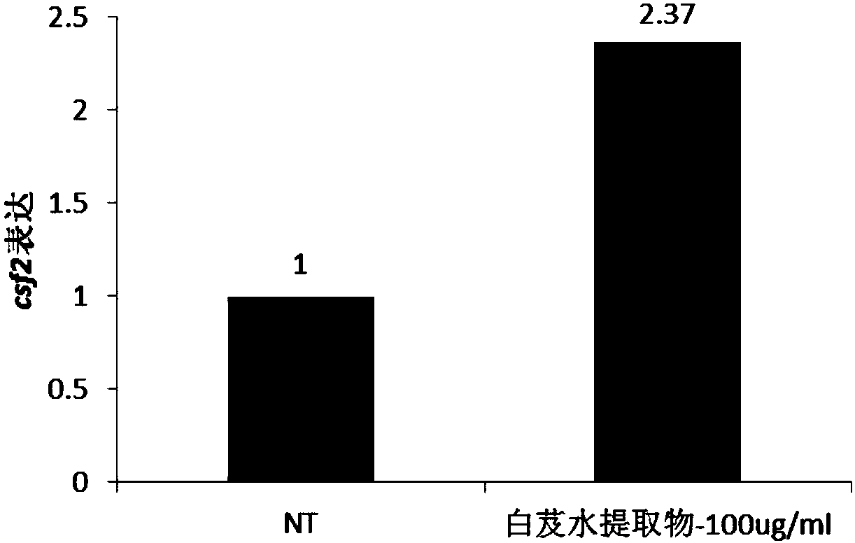 Application of bletilla striata(Thunb.)Rchb.f. extract