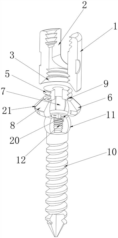 Split dynamic and static dual-purpose pedicle screw and mounting tool thereof