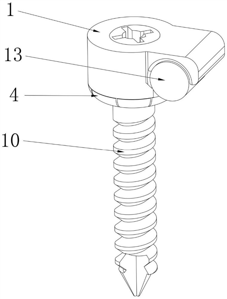 Split dynamic and static dual-purpose pedicle screw and mounting tool thereof