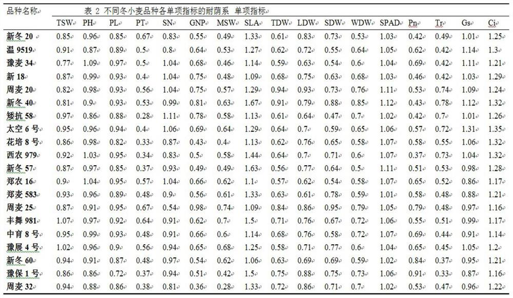 Comprehensive Identification Model, Method and Application of Wheat Shade Tolerance