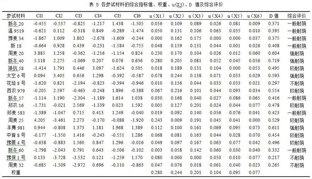 Comprehensive Identification Model, Method and Application of Wheat Shade Tolerance