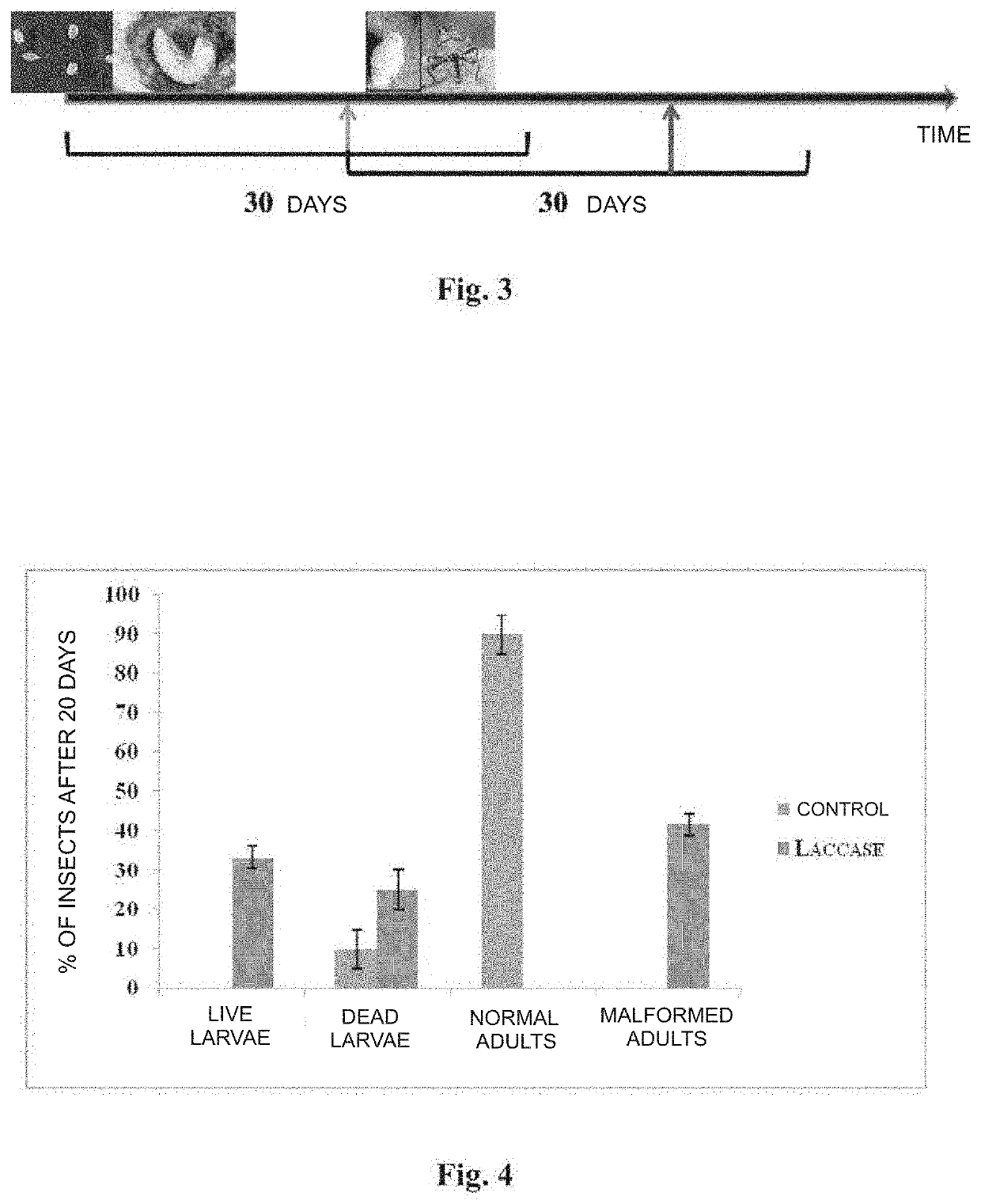 Genetic control method and compositions against insect pests in cotton plants by the silencing of genes of the laccase family
