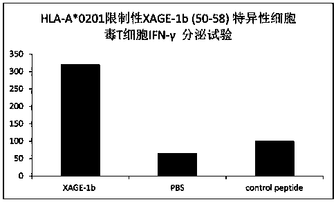 Tumor-associated antigen xage-1b short peptide and its application