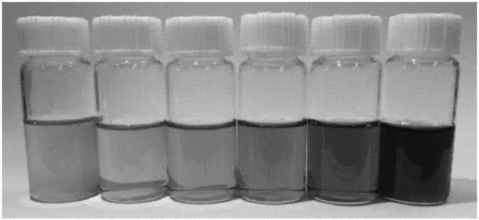 Compound tea polyphenol nano emulsion as well as preparation method and application thereof