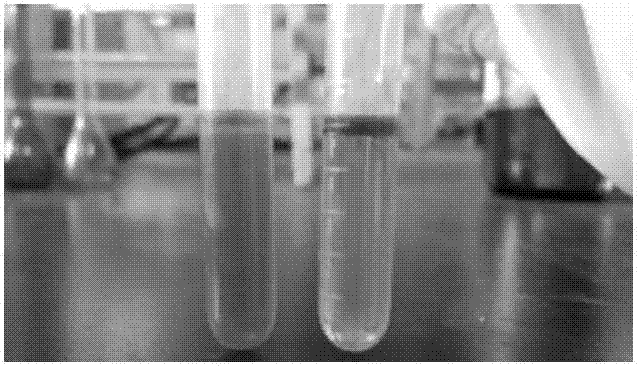 Compound tea polyphenol nano emulsion as well as preparation method and application thereof