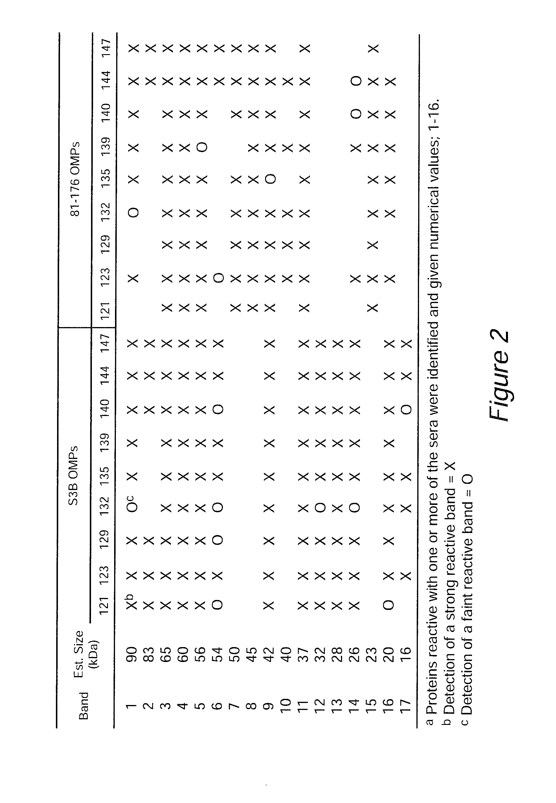 Antigen compositions and methods of inhibiting campylobacter jejuni bacterial infection and uses of the antigen compositions