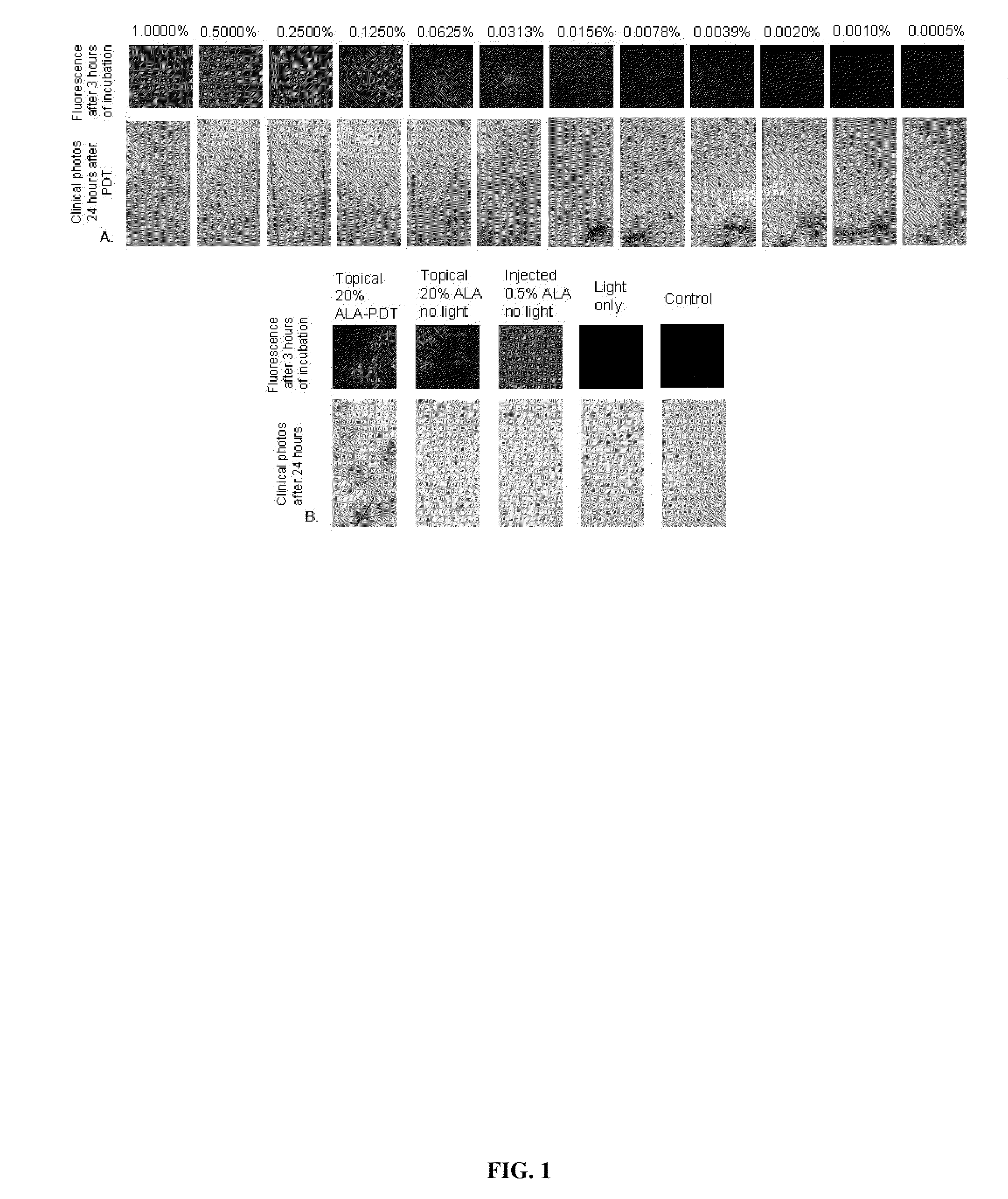 Methods and compositions for dose-dependent photodynamic therapy of disorders