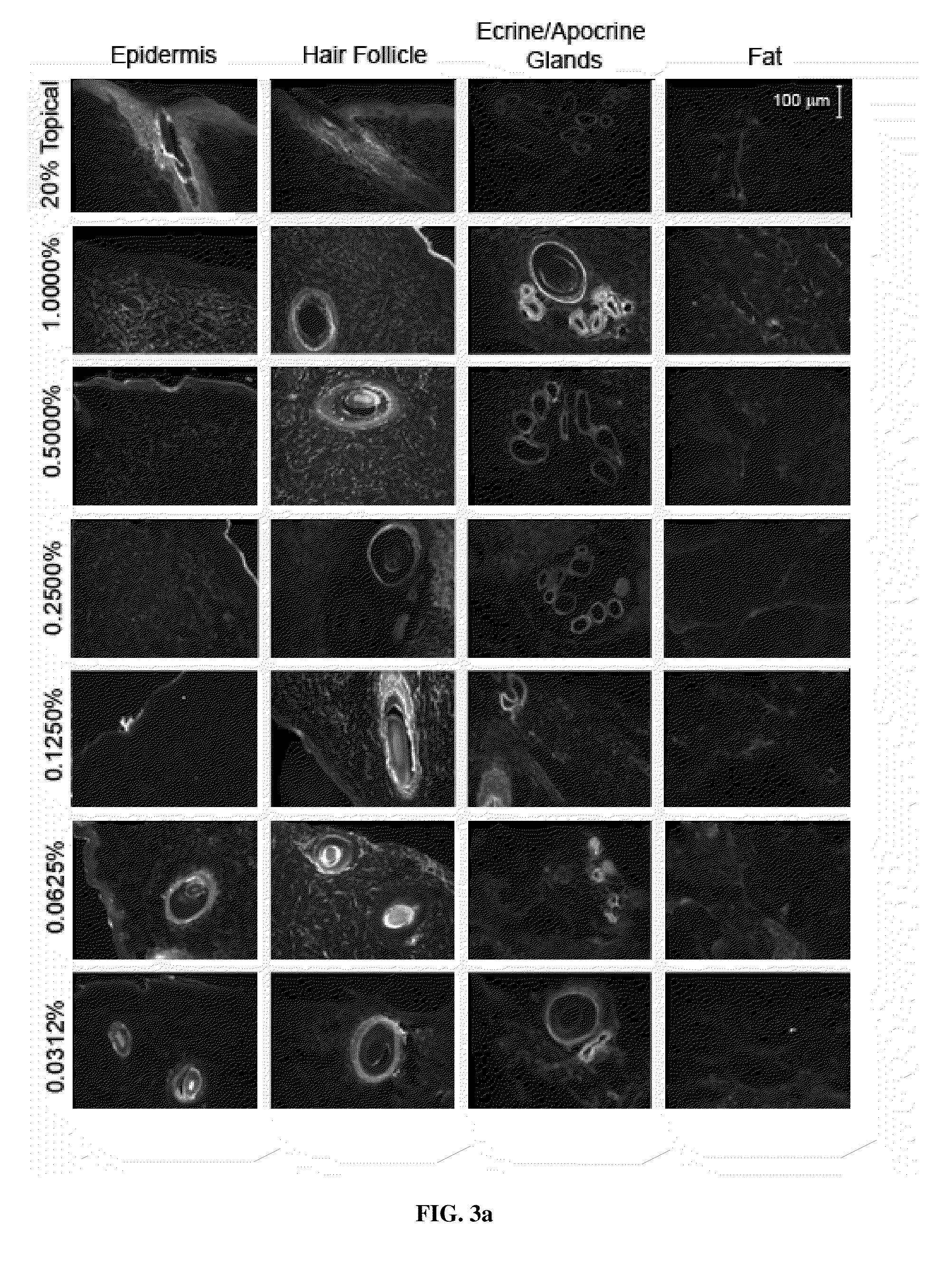 Methods and compositions for dose-dependent photodynamic therapy of disorders