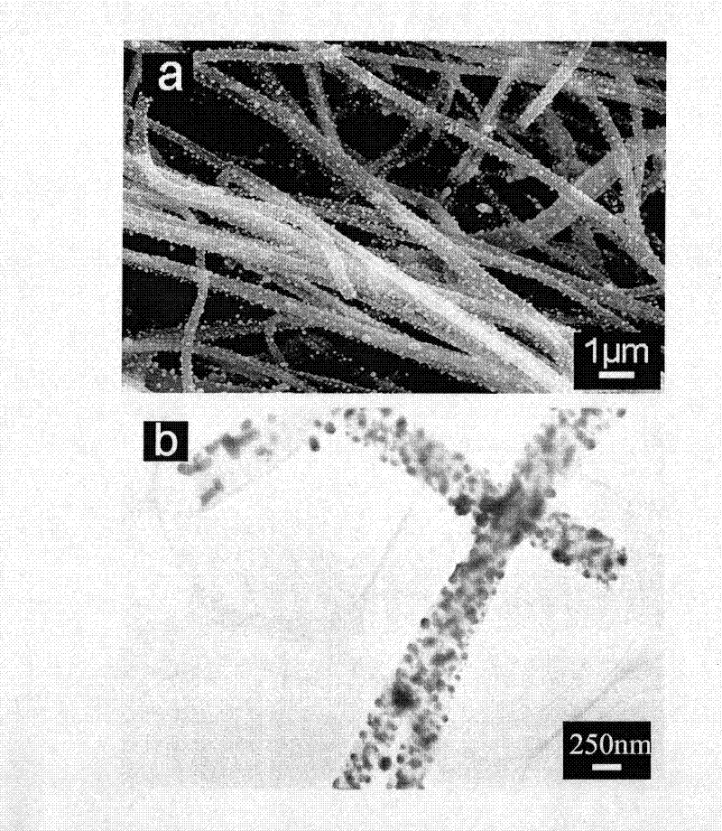 Palladium nanoparticle/carbon nanofiber compound, preparation method and application thereof in electrocatalysis