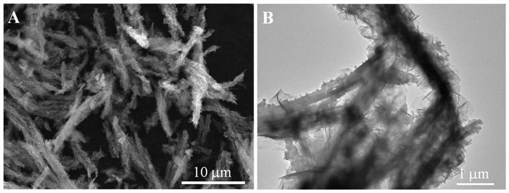 N-CNTs@NiCo-LDHs dendritic nanoflower material and preparation method and photoelectrochemical application thereof