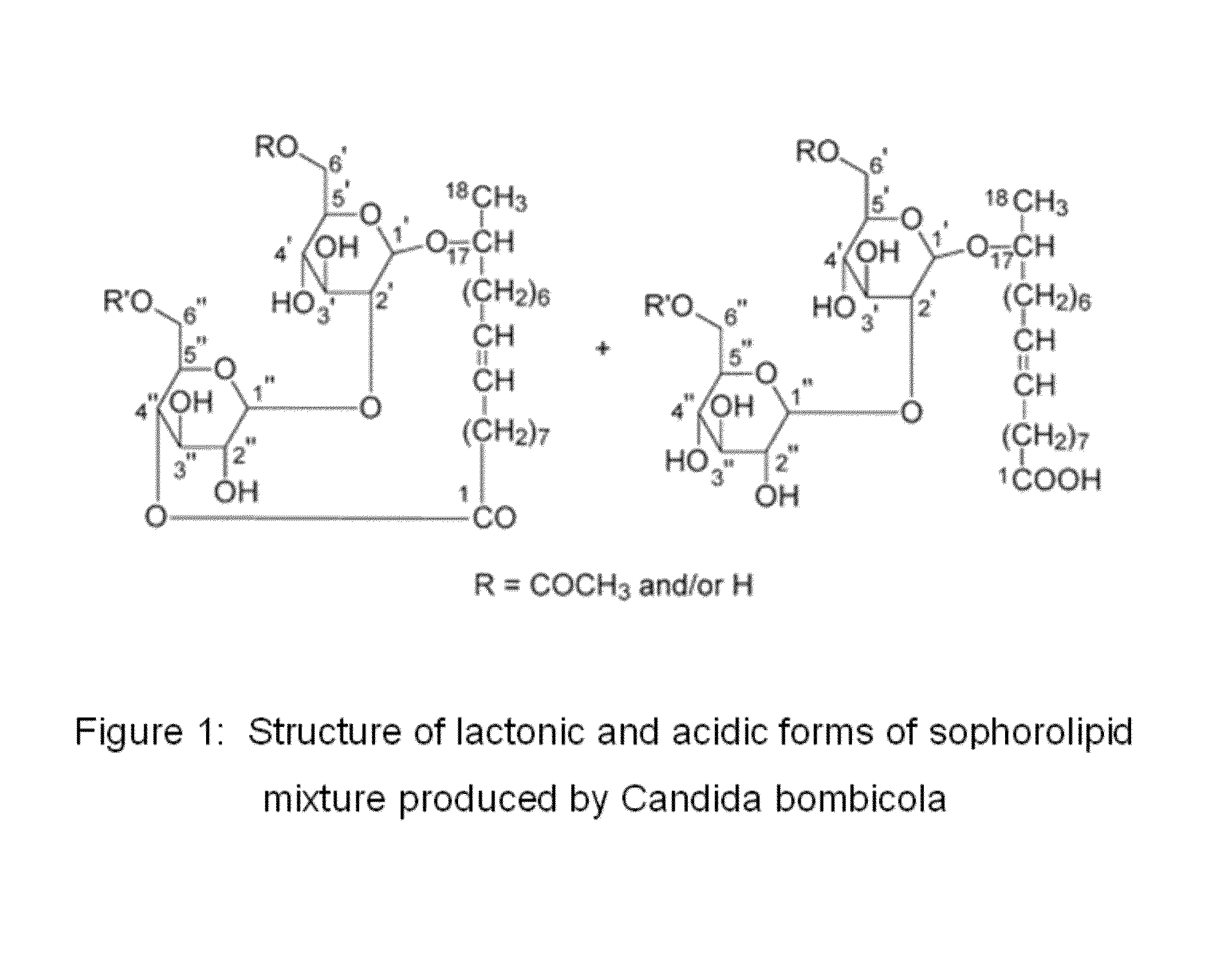 Sophorolipid analog compositions