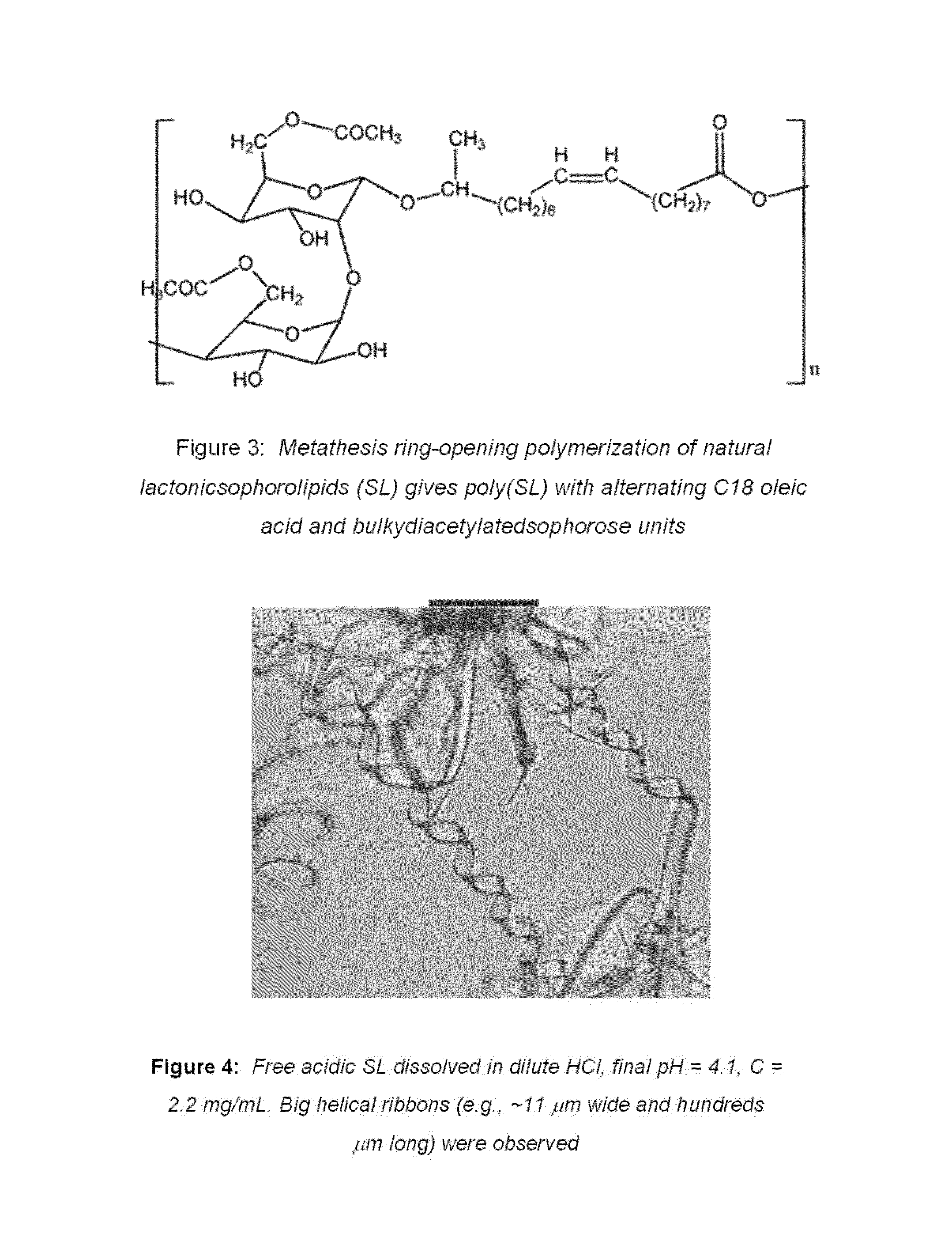 Sophorolipid analog compositions