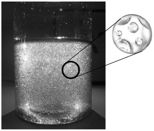 Transparent microbeads essence containing water-soluble and fat-soluble anti-wrinkle polypeptides