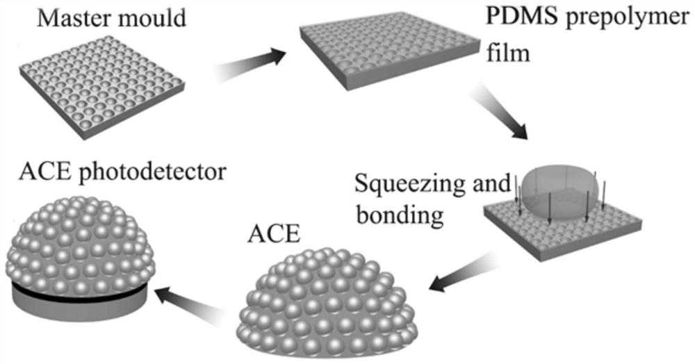 Light capturing module of photoelectric detector and photoelectric detector