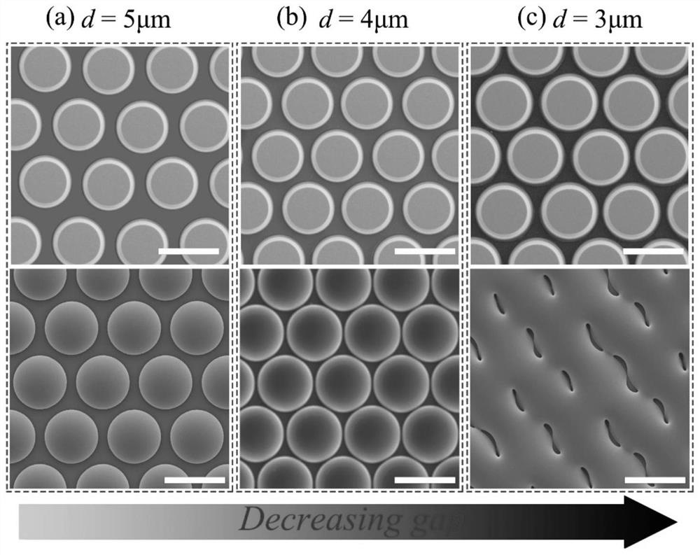 Light capturing module of photoelectric detector and photoelectric detector