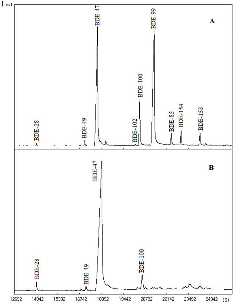 Monomer stable carbon isotope analysis method for polybrominated diphenyl ether in fish