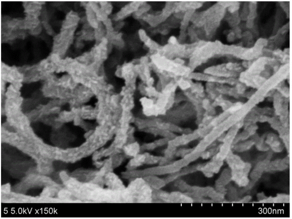 Molybdenum selenide sulfide/carbon nanotube composite material, preparation and application thereof