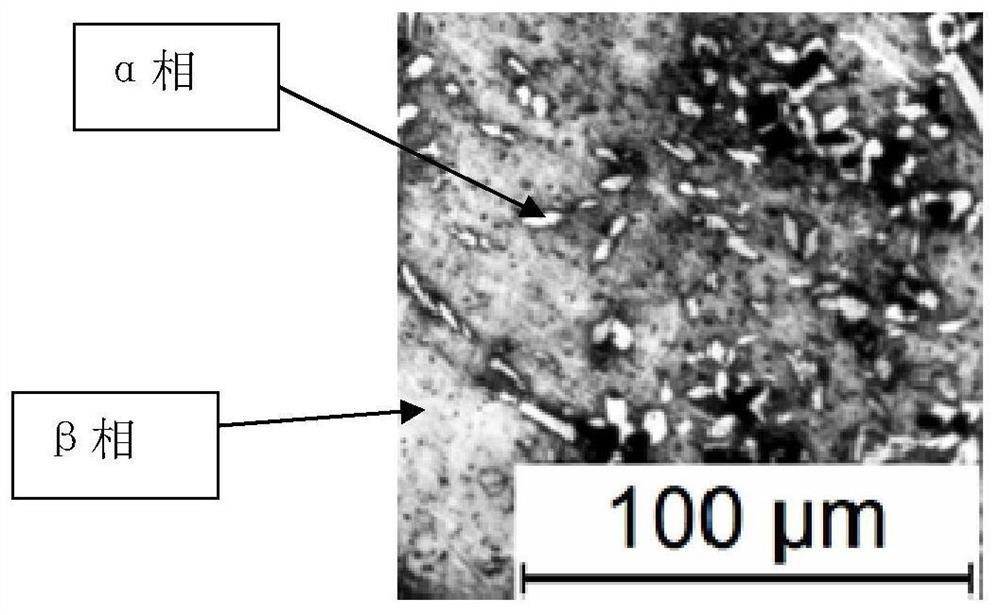 Copper nut and preparation method thereof