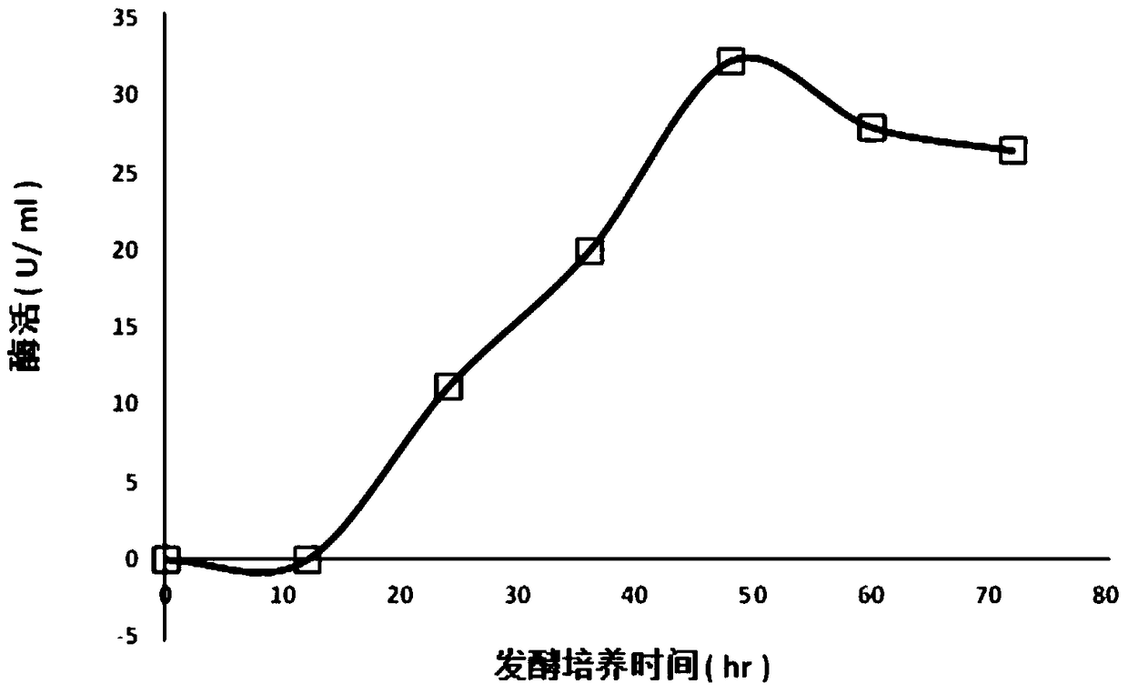 A kind of recombinant Bacillus subtilis with high pullulanase production and its construction method