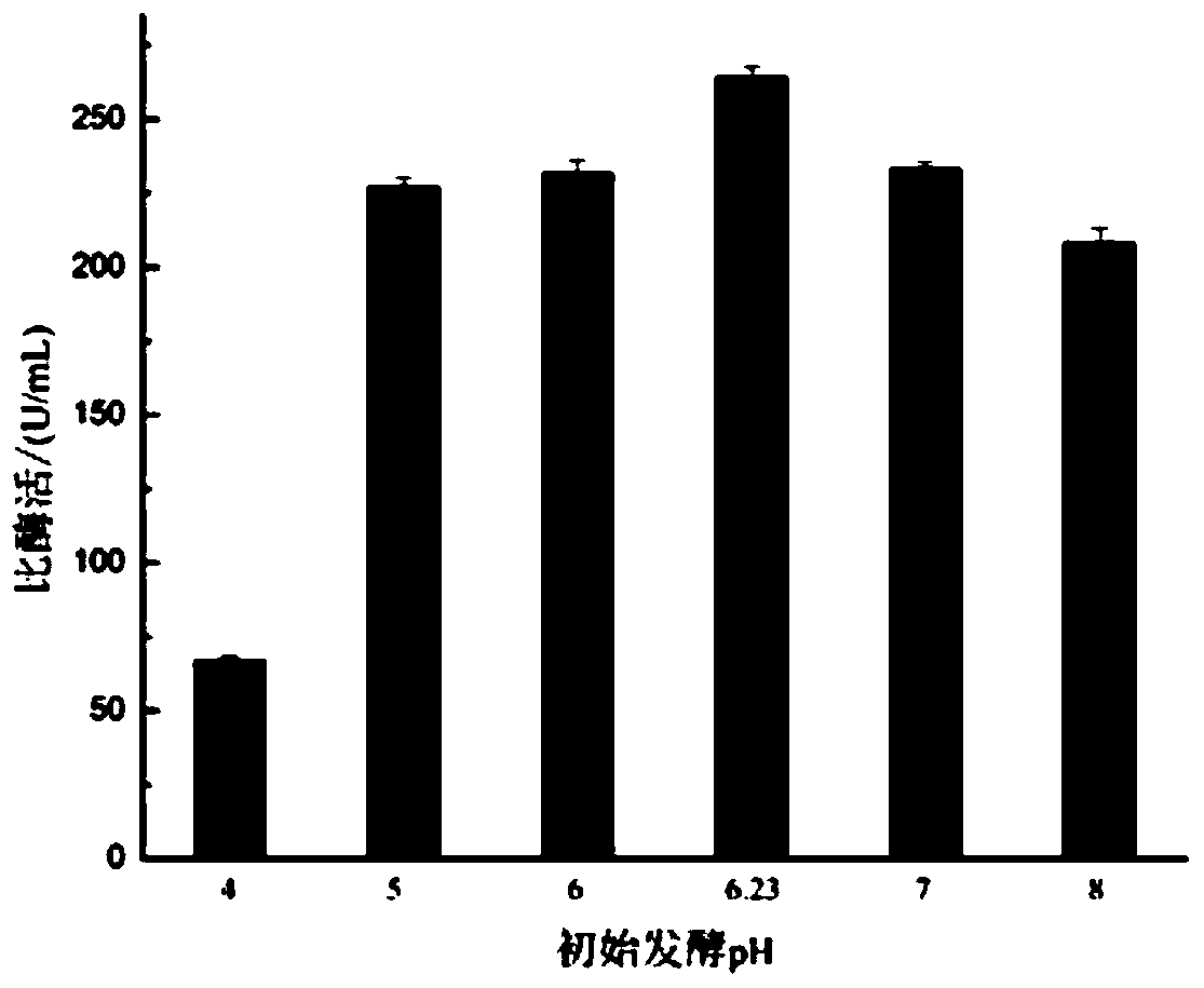 A kind of recombinant Bacillus subtilis with high pullulanase production and its construction method