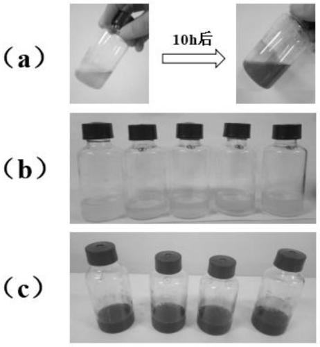 Preparation method and application of shewanella spp-nanometer ferrous sulfide capsules