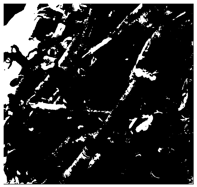 Establishment method of actinidia plant sand culture technology system and application thereof