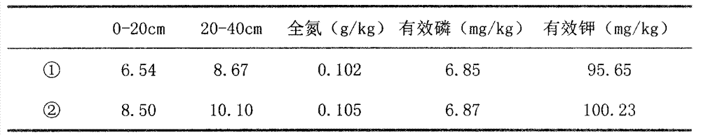 High-activity humic acid composite microorganism fertilizer and preparation method thereof