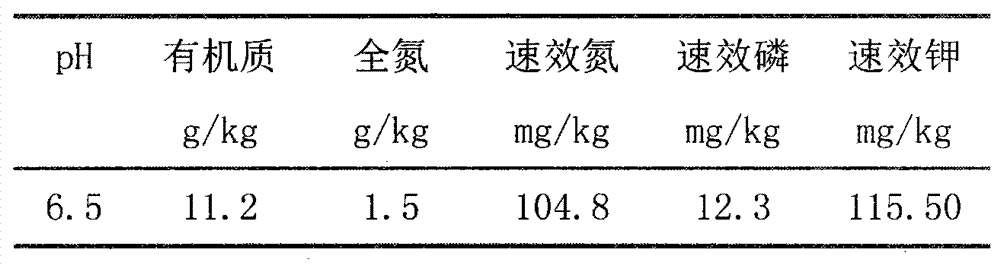 High-activity humic acid composite microorganism fertilizer and preparation method thereof
