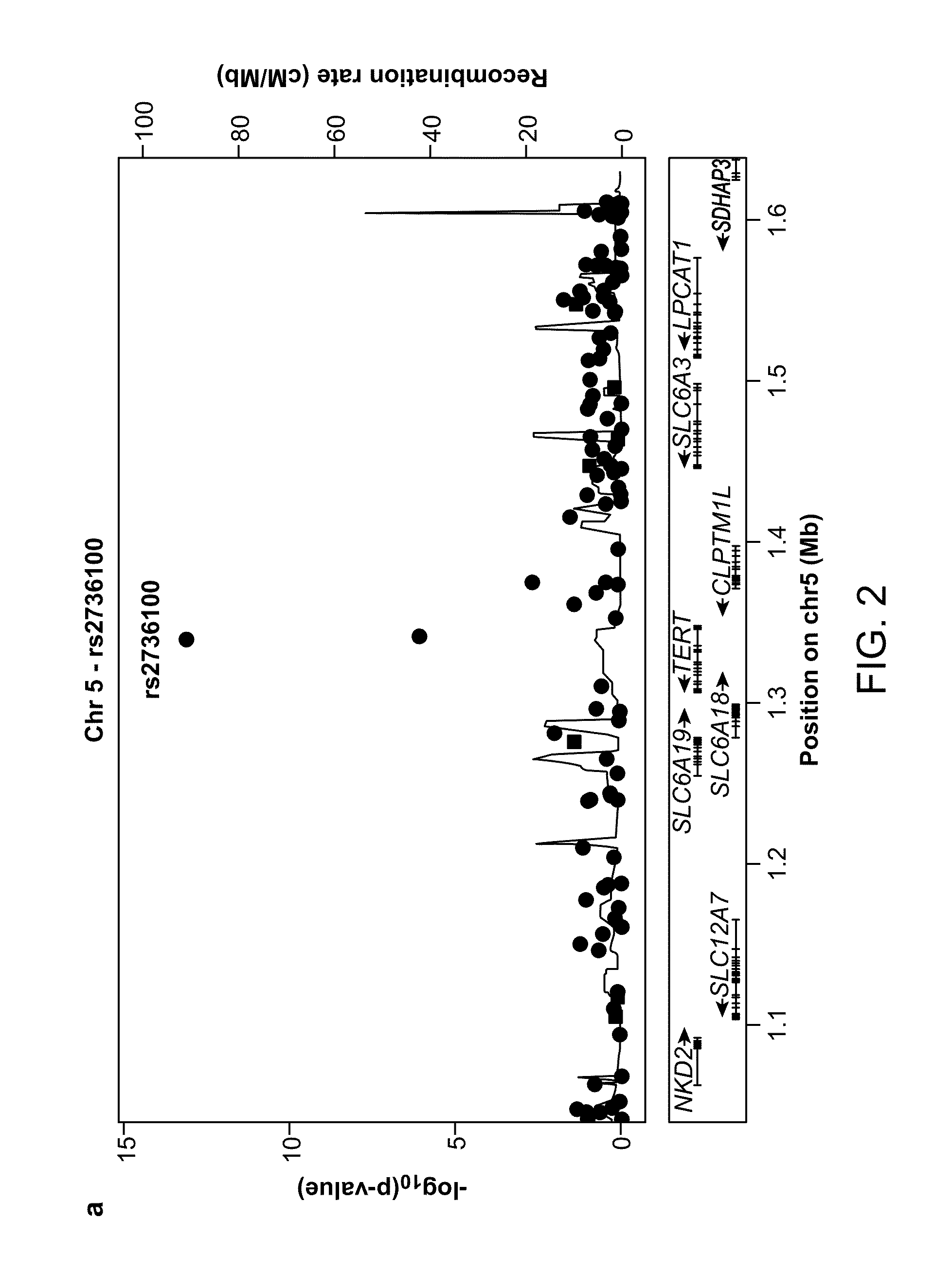 Methods for predicting risk of interstitial pneumonia